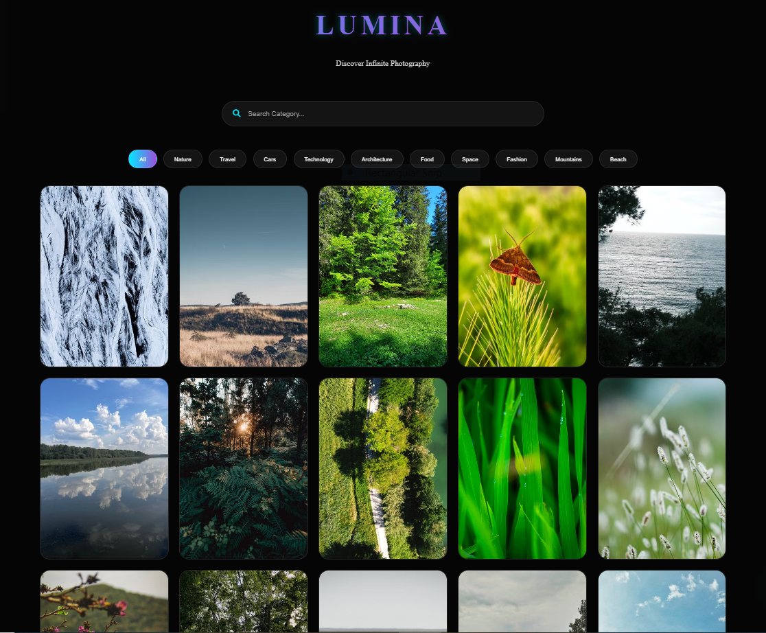 Interactive Image Gallery
